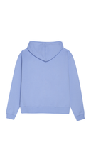 SOCIAL WORK Hoodie - Whimsy