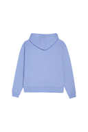 SOCIAL WORK Hoodie - Whimsy